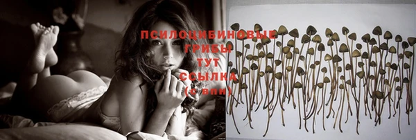винт Заводоуковск