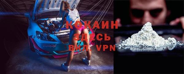 mix Ельня