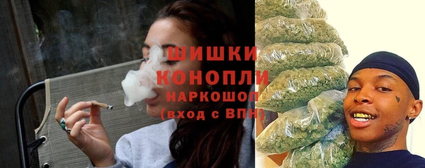 ПСИЛОЦИБИНОВЫЕ ГРИБЫ Заволжье