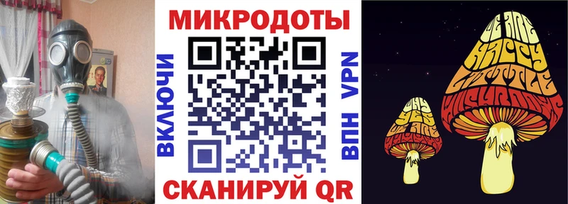 Псилоцибиновые грибы Psilocybe  Купить закладки  Киренск 